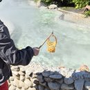 파니 게스트하우스 | [치앙마이] 싼캄팽 온천 게스트하우스 후기 / 싼캄팽에서 4시간 놀기 / 주변 식당 카페 추천 👍