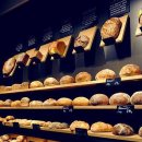 세종요리제과제빵학원 이미지