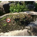 큰골민박 이미지