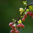 대전광역시청 이미지