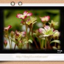 환성축산 이미지