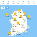 8월 9일 주요신문 헤드라인