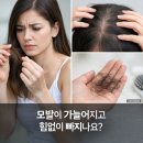 디와이미용재료