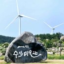 1004섬수석미술관 티스토리