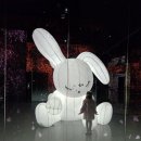 미리 만나는 교과서 속 명화 | 부산 아르떼뮤지엄 달토끼 특별전 후기 | 아이랑 가볼만한 전시