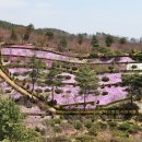 영우축산 이미지