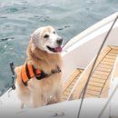 종원농장 이미지