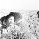 이상진농장 이미지