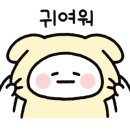 하로와헤어 네이버블로그
