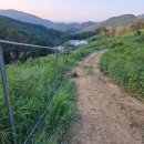 튼튼목장 이미지