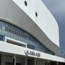 강림체육시설 | 3년차 수영인의 강릉 아레나 수영장 자유 수영 정보&amp;후기🐠