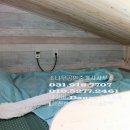 송해면-6 이미지