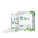 프레쉬 힐 이미지