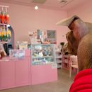 맛있개신나개 이미지