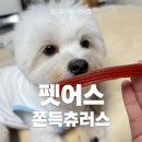 펫어스 | 강아지육포간식 펫더맨 펫어스 쫀득츄러스 기호성 좋은 대용량 간식