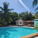 바다옆닭장 | 말라파스쿠아 스쿠버다이빙 숙소 파라다이브 후기