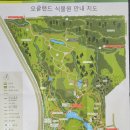 8월 30일(수요일) : Puhinui Stream Forest Trail + Botanic Gardens 이미지