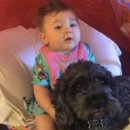 FAMILY DOG 이미지