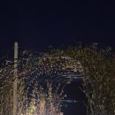 북토리스테이 이미지