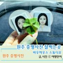 주민이네 복실강아지 | 원주 증명사진 잘 찍는곳 반곡동 바우하우스 스튜디오 사진관