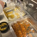 다와카페 | 천안 풍세 술집 추천 저녁외식 맛집 다와양꼬치 후기