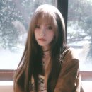 헤이즈 카카오 검색결과