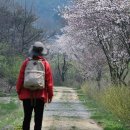 물버들마을 이미지