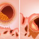 베스트오브미여성의원 이미지