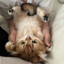 보컬(주간) | 주간일기_260406_260412