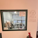 그루밍샵 이미지