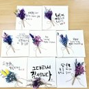 변산중학교 이미지