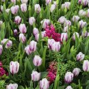 행정사김기원사무소 이미지