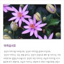 좋은생각 이미지