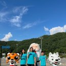 이루다태권도 이미지