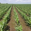 주산농장 이미지