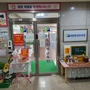 HS빌딩 | 애견미용사자격증 취득 성공 후기!!(HS평생교육원 / 에이치에스평생교육원)