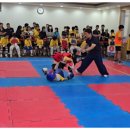 대한태권도스쿨 이미지