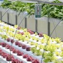 조정농장 이미지