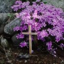 오포1동-15 이미지