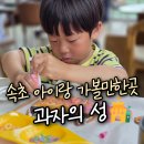 주식회사 쿠키캐슬속초 | 속초 아이랑 가볼만한곳 과자의성, 만들기 체험키트 후기