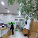 부림온천 이미지