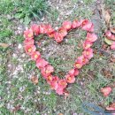 거제공업고등학교 이미지