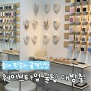 (7/8 저녁반)퍼스널 컬러, 나를 가장 나답게 | 서울 골격진단 핏컬러 웨이브 체형 맞춤 후기