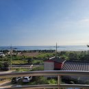 삼포모닝빌