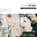 Body Story(바디스토리) 이미지