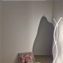 봄스킨
