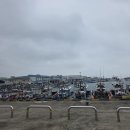 한림좀녀삼춘 이미지