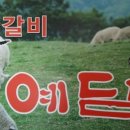 예담숯불양갈비