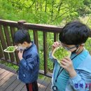 왜관초등학교 이미지