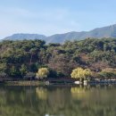 의림지(낙원식당)화장실 | 뷰포인트 포함 (feat. 의림지 야외 식당&amp;카페 '낙원휴게소&amp;매점', 화장실, 주차장 등 편의시설 정보 포함)